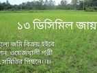 সূলভ মূল্যে জমি বিক্রয় হইবে