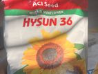 সূর্যমূখী বীজ (ACI HYSUN 36)