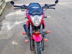 Suzuki Gixxer . 2024