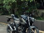 Suzuki Gixxer 250 akdom new 2024