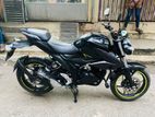 Suzuki Gixxer curb version V4 2023