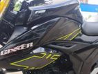 Suzuki Gixxer FI Disc 2023
