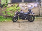 Suzuki Gixxer matt 2024