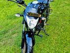 Suzuki Gixxer Monotone . 2024