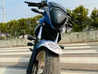 Suzuki Gixxer Monotone ` 2022
