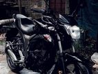 Suzuki Gixxer Monotone . 2023