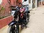 Suzuki Gixxer Monotone 2023