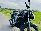 Suzuki Gixxer Monotone . 2023