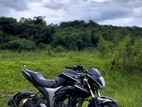 Suzuki Gixxer Monotone . 2023