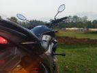 Suzuki Gixxer Monotone 2024