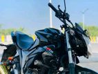 Suzuki Gixxer Monotone 2024