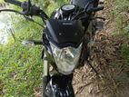 Suzuki Gixxer Monotone 2024