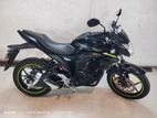 Suzuki Gixxer Monotone . 2025