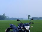 Suzuki Gixxer Monotone . 2025