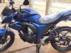 Suzuki Gixxer monotone SD 2024
