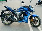 Suzuki Gixxer Monotone SD BLUE 2024