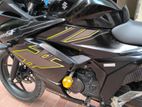 Suzuki Gixxer SF Carborator D/D 2023