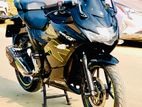 Suzuki Gixxer SF fi abs 2024