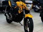 Suzuki Gixxer Single Disc 2024