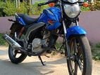 Suzuki GSX 125 2023