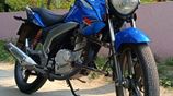Suzuki GSX 125 2023