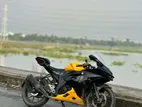 Suzuki GSX 2024