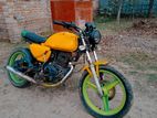 Modified Bike 2005