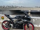 Suzuki GSX . 2024