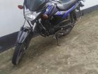 Suzuki Hayate 2019