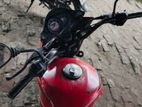 Suzuki Hayate 2020