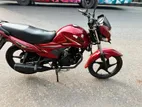 Suzuki Hayate Hayati fxdPrc 2021