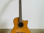 SX- Acoustic Guitar