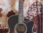 SX Acoustic guiter