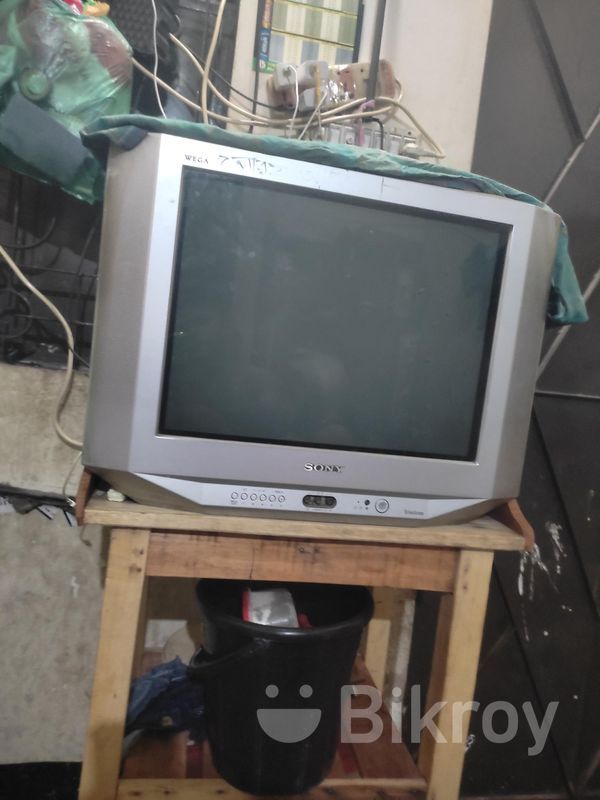 Serebryany Bor porno Shirali mushukdagi sikning yaqindan surati