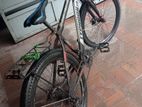 তাইপন ১০ Bicycle