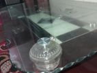 Center table sell