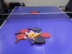 Table Tennis Board Full Set