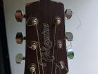 Takamine GD Series Guitar