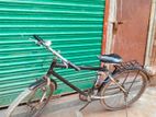 Veloce Bicycle for sale