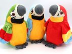 Talking Parrot For kids