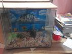 FISH TANK SELL