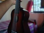 Tanglewood Ukelele 🇬🇧