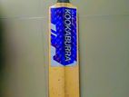 Tape Tennis Cricket Bat For Short Crease and Long - Kookaburra