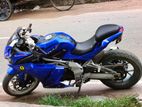 Taro GP 1 Special edition v2 2021