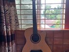 Taysle TS570-40 Guitar