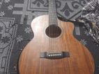 Tayste acoustic guitar