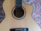 Tayste acoustic guiter