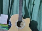 Tayste guitar model TN404-N