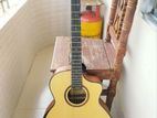 Tayste_TS-J34-A..Acoustic guitar