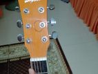 Taysty Guitar